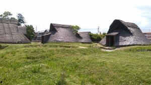 吕遗迹吃瓜,揭秘吃瓜背后的文化现象