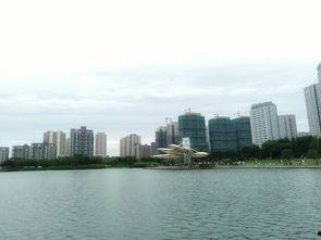 郑州吃瓜广场,揭秘城市生活百态的“瓜田”