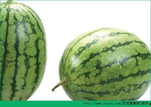 为什么吃瓜过敏,为何吃瓜也会引发过敏反应