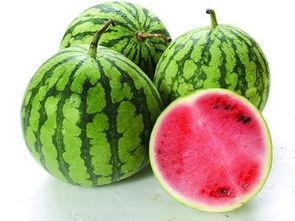 何谓吃瓜脑,网络时代下的围观心理解析