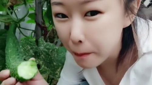 婆婆梦见分瓜吃,婆婆的瓜分之梦揭秘