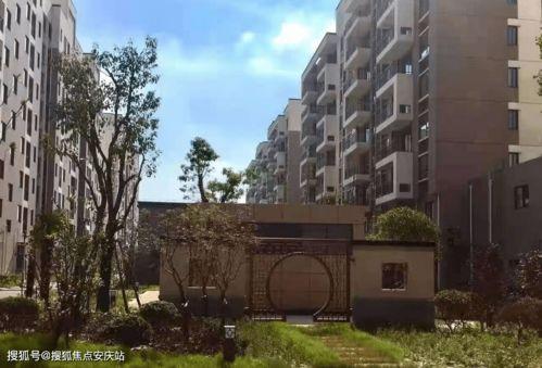 山东吃瓜事件近期情况,真相揭晓与舆论反思