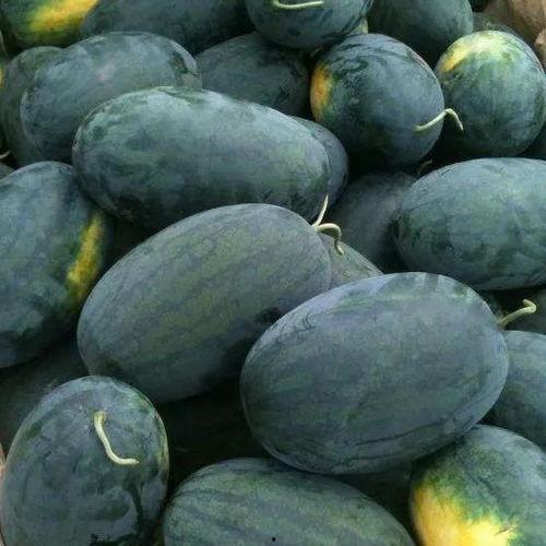 大兴西瓜节吃瓜,甜蜜盛宴，瓜香四溢的夏日狂欢