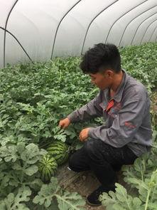 欣欣子现场吃瓜,欣欣子带你揭秘娱乐圈幕后真相