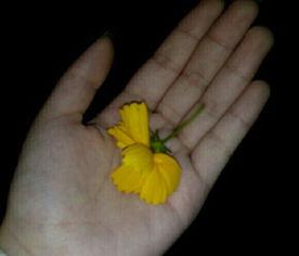 河边吃瓜视频素材,一场视觉盛宴的吃瓜直播