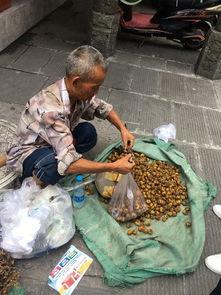 青海阿爸阿妈吃瓜,青海阿爸阿妈的甜蜜瓜果时光