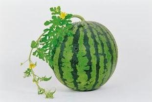 吃瓜的风水禁忌,避开这些，好运连连！