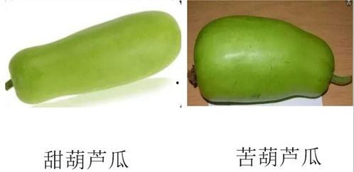 淄博幼儿吃瓜事件,幼儿园食品安全引关注