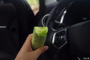 偷瓜吃瓜不忘种瓜人,人生哲理的启示